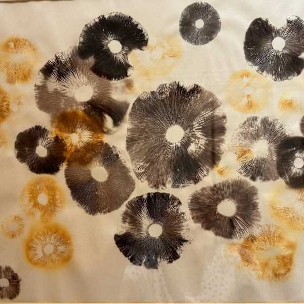 Mushrooms by Athena Tacha, Image 1.