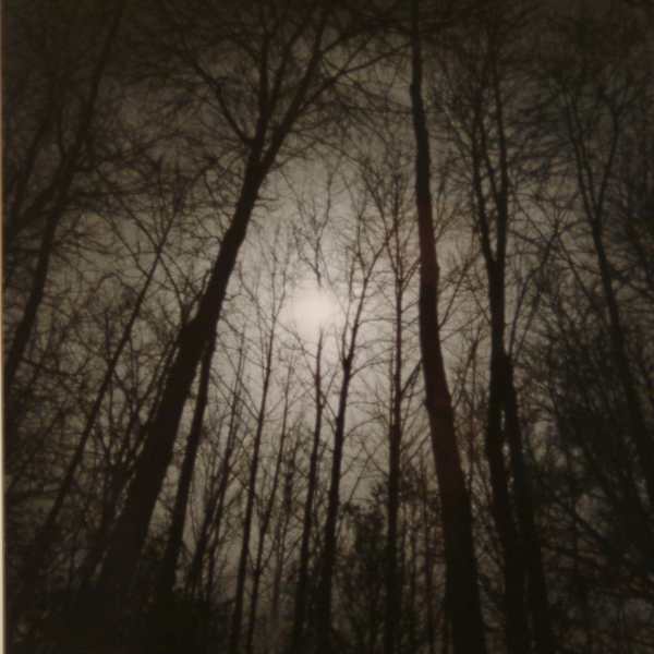 November Night by Robert L Palmer, Image 1.