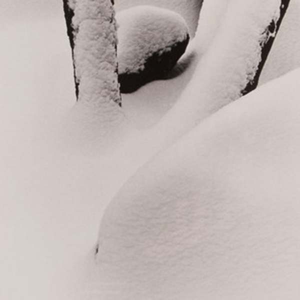 South Chagrin/Winter by James McCarthy, Image 1.