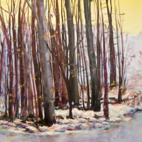 Yellow Sky at Chapin by Mary M Kinsley, Image 1.