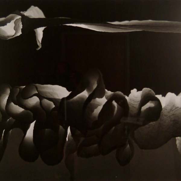 Sheets in Spain by Ralph Marshall, Image 1.
