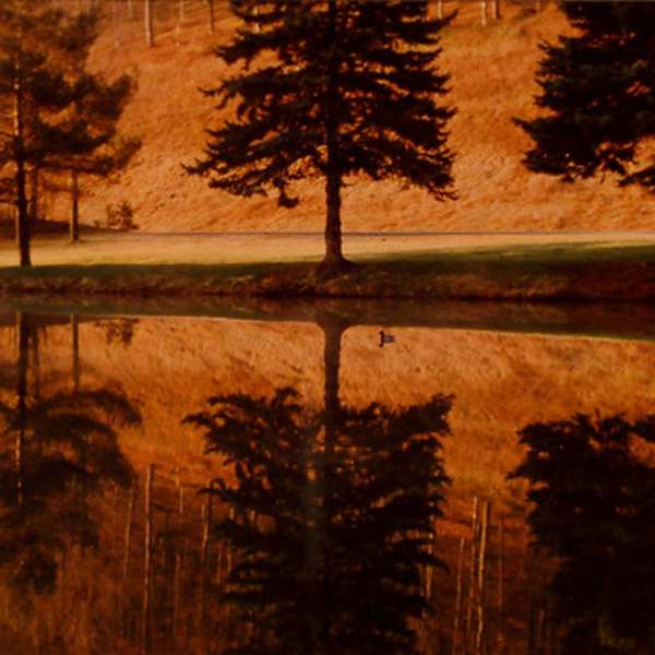 Reflections by Ralph Tarsitano, Image 1.