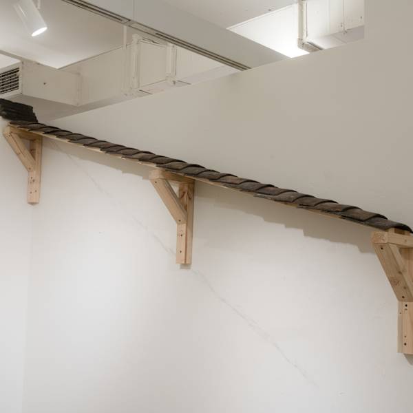 Migrating Eaves by Xingzheng Bao, Image 1.