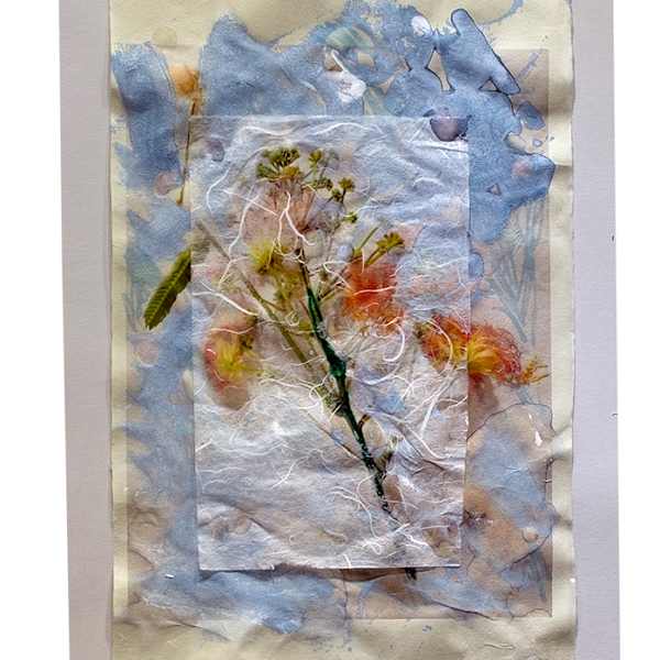 Acacia #1 by Michael Acker, Image 1.