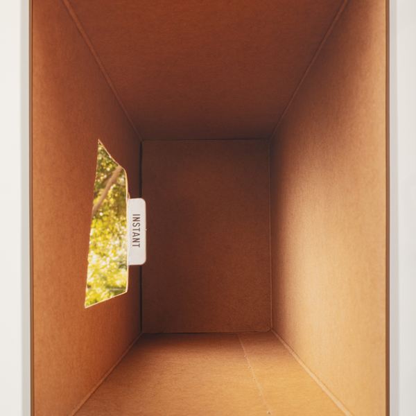 Polenta by Lucia Koch, Image 2.