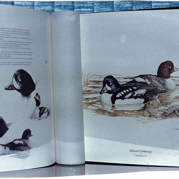 Ducks Unlimited Book, Limited Edition by Ducks Unlimited, Image 7.