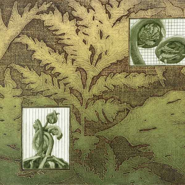 Ferns and Fiddleheads by Janet Bourgeau, Image 8.