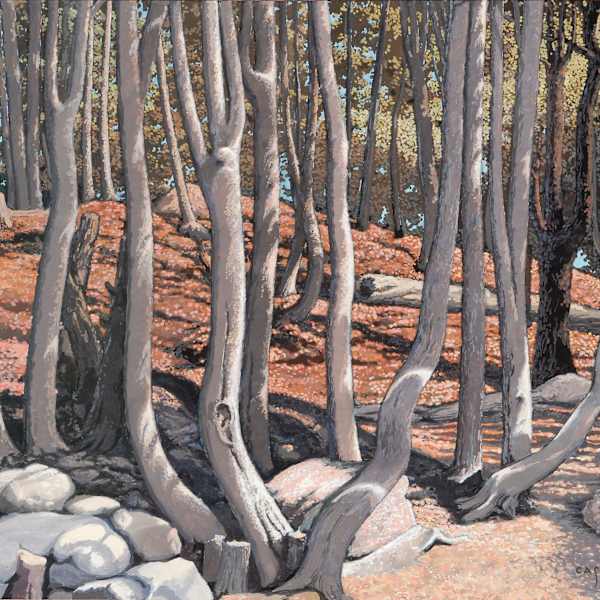 Cedar Grove, Old Fort, Quebec by George Cassidy, Image 12.