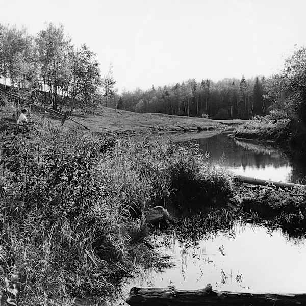 September Afternoon at Pete's Dam by David Ernest, Image 2.