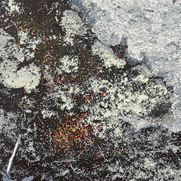 White Sticks by Judy Gouin, Image 3.
