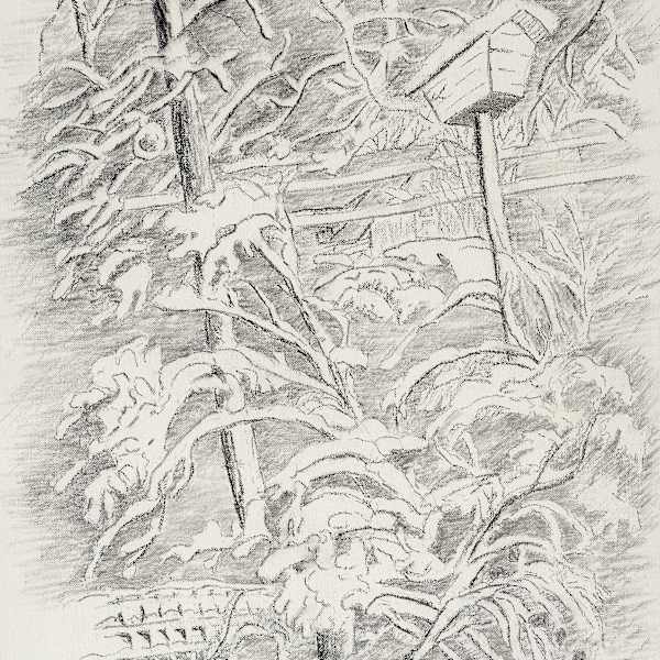 Untitled (Bird Feeder in Winter) by Nora Craven, Image 15.