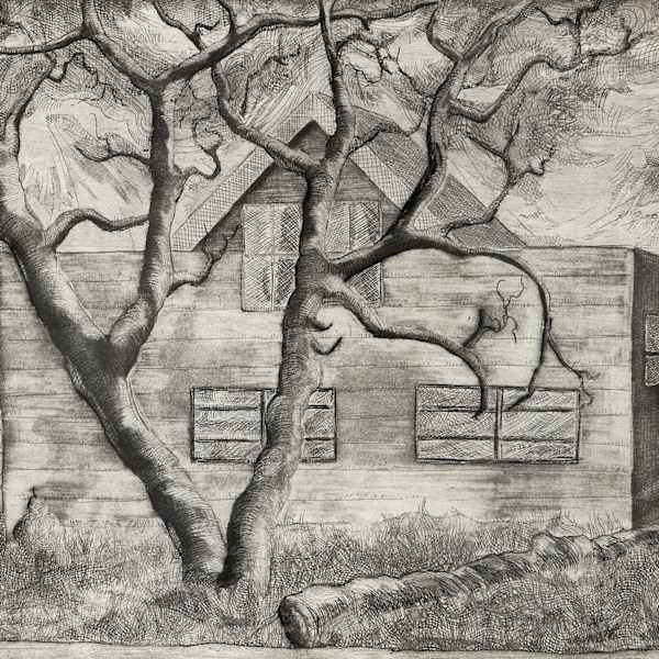 Studio: Ray's Farm by Bruce Cull, Image 35.