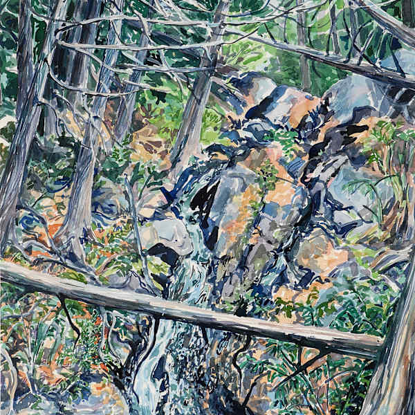 Waterfall Near Lost Lake by Valerie Hosteler, Image 54.