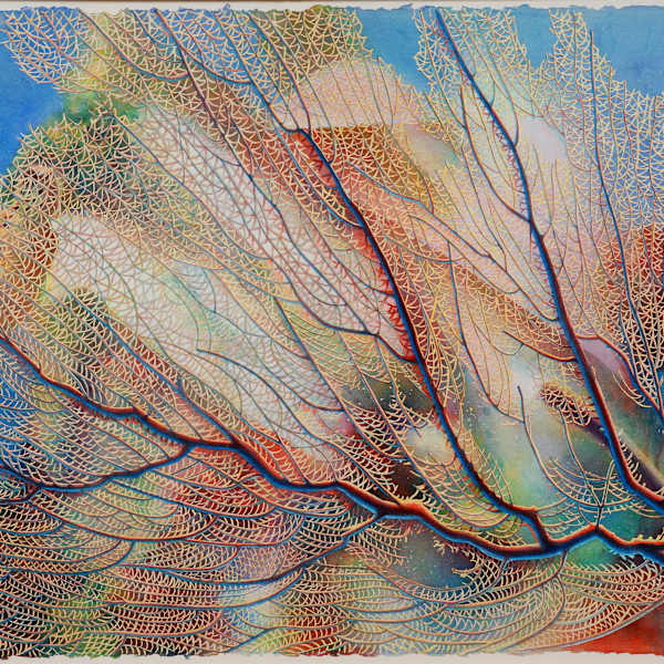 Sea Fan Skeleton by Kathy Holland, Image 82.