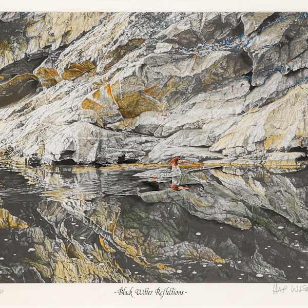 Black Water Reflections by Hap Wilson, Image 76.