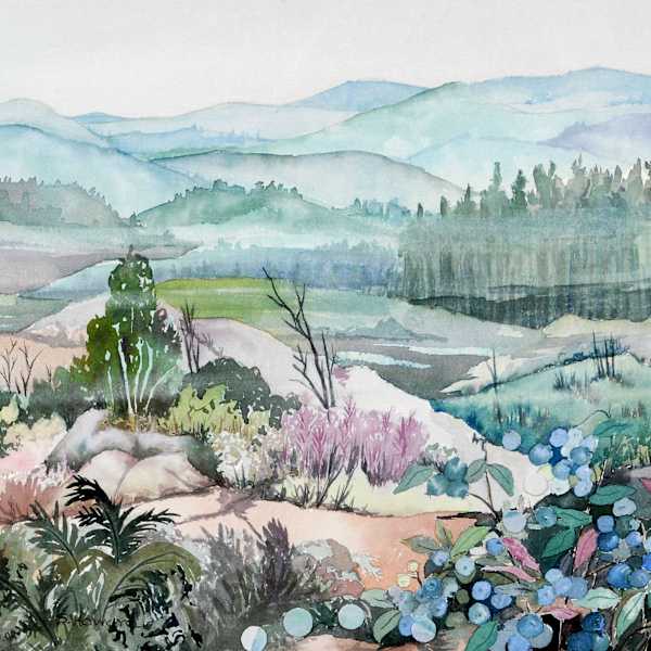 B is for Blueberries by Shirley Howard, Image 116.