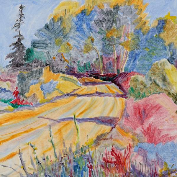 Shadow Play, Bucke Park Road by Susan Mancantelli, Image 163.