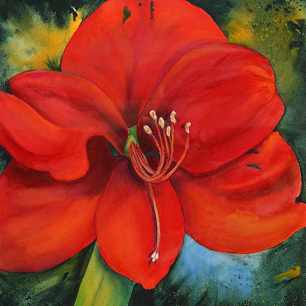 Welcome to My World by Joan Schwegler, Image 154.