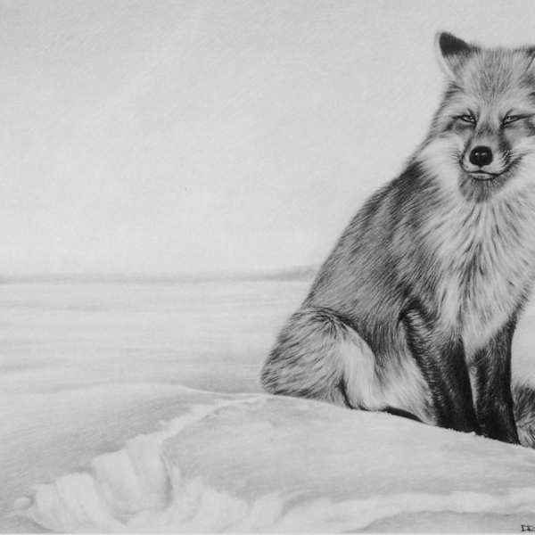 Winter Romp by Dean Dubois, Image 200.