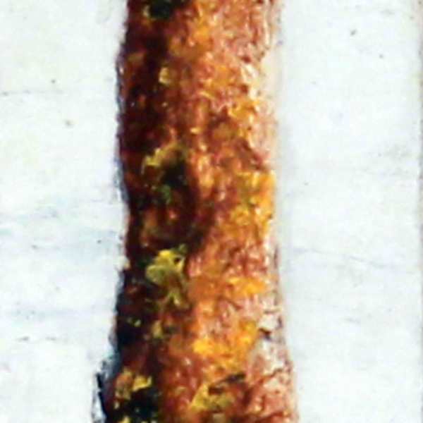Ciprés by Joan Mateu Bagaria, Image 1.