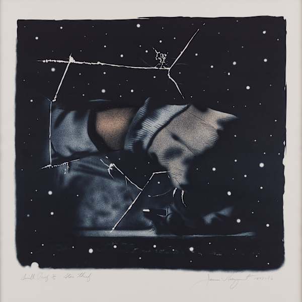 Star Thief by James Rosenquist, Image 2.
