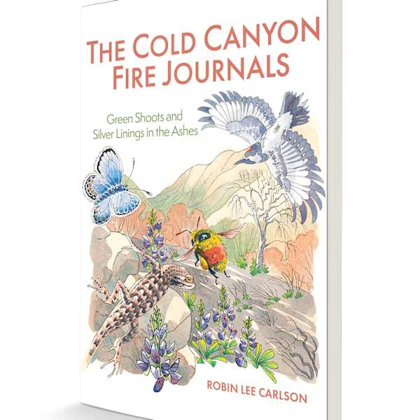 The Cold Canyon Fire Journals by Robin Carlson, Image 1.