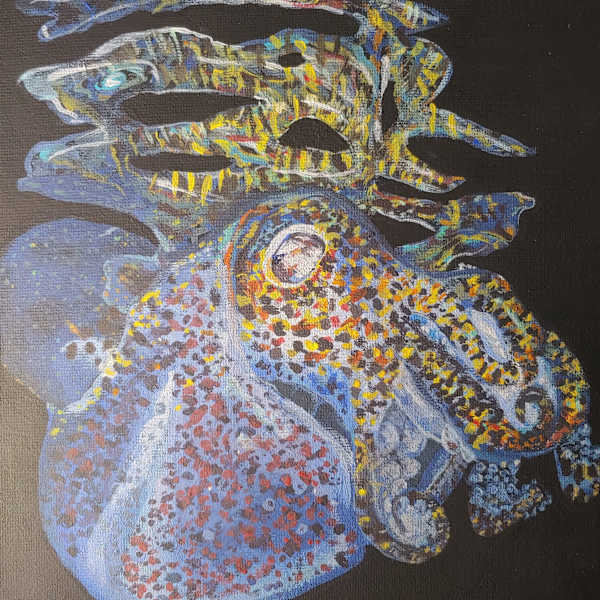 Bobtail Squid by Netta Dar, Image 1.