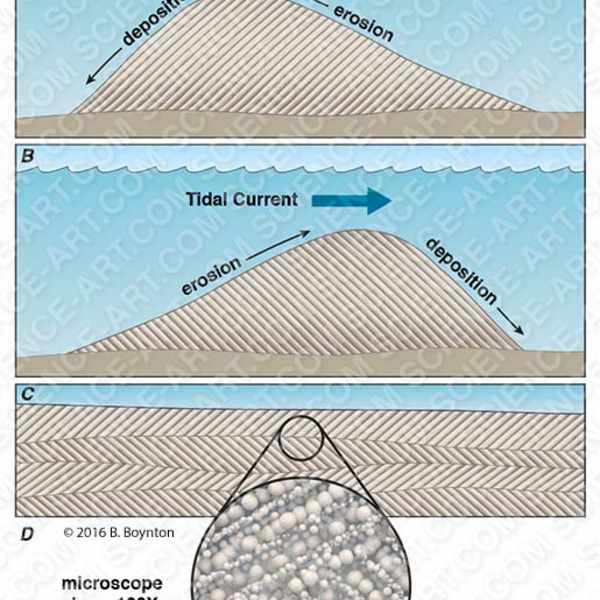 Cross-bedded sedimentation by Betsy Boynton, Image 1.