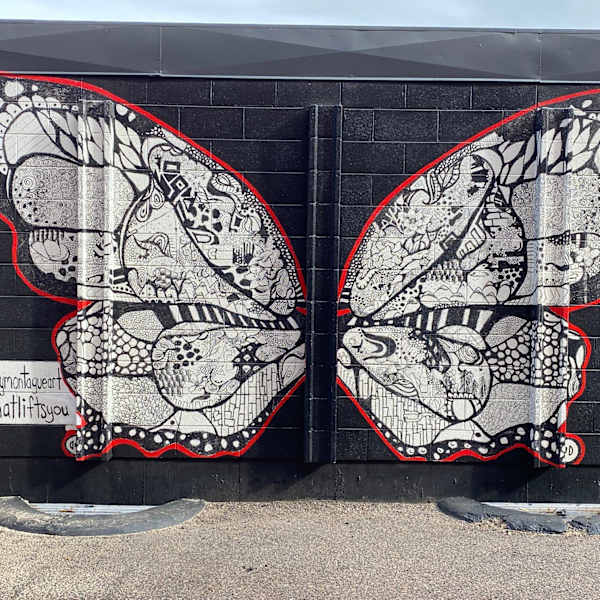 Untitled - black & white butterfly wings by Kelsey Montague, Image 1.