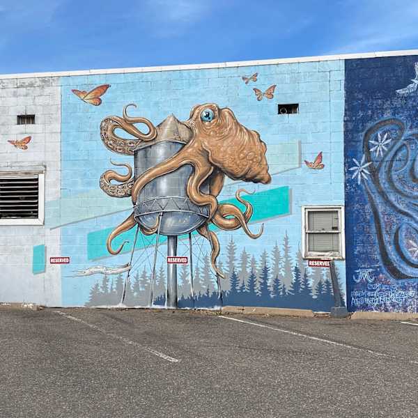 Octo Watertower by Patrick Maxcy, Image 1.