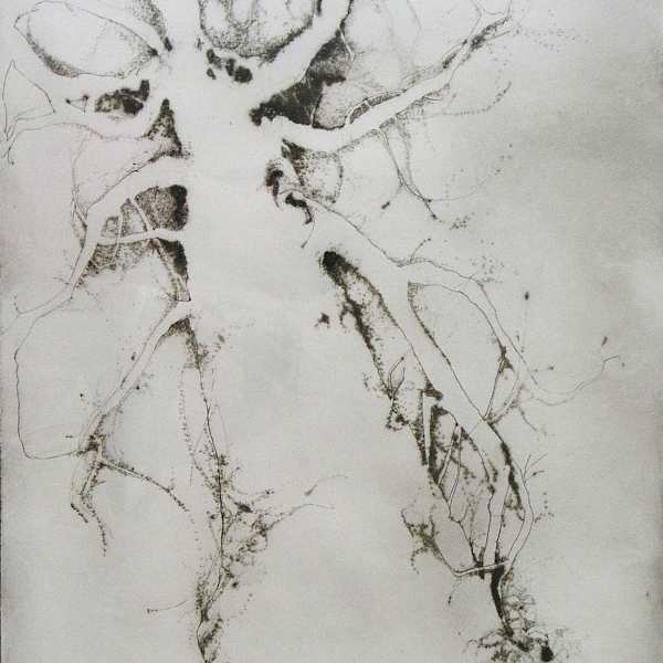 Sycamore at 1601 by Lin Carte Anderson, Image 1.
