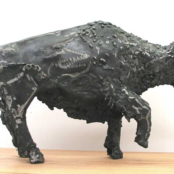 Untitled - buffalo by Varian Ashbaugh, Image 1.