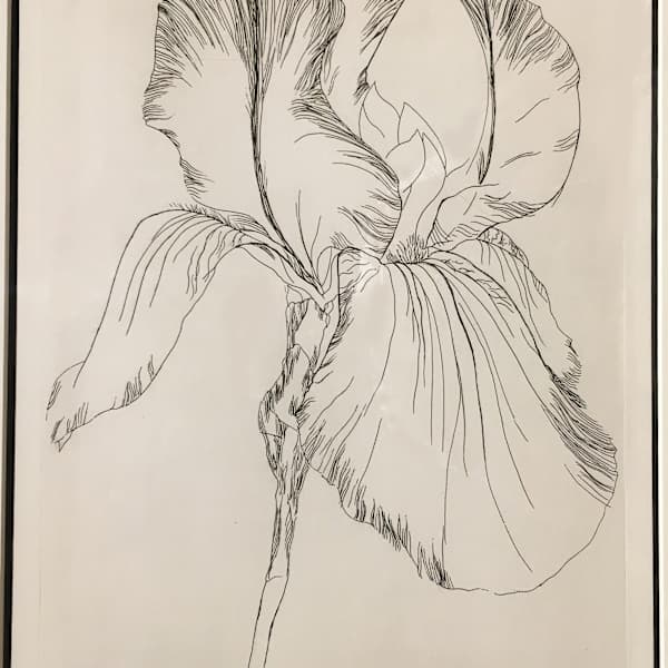 Iris by Kitty Crapster, Image 1.