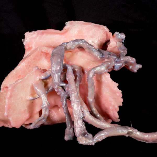 Untitled [Piece from Klados exhibit] by Denyse Wilhelm, Image 2.