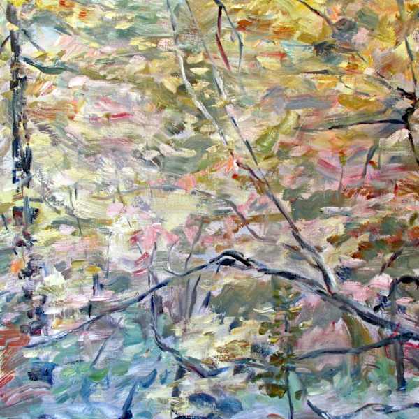 California Autumn by Robert Gerdes, Image 1.