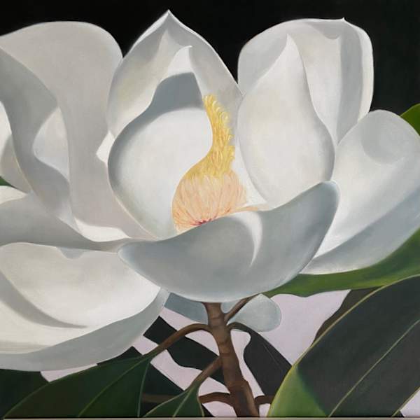 Magnolia #2 by Carol Young, Image 11.