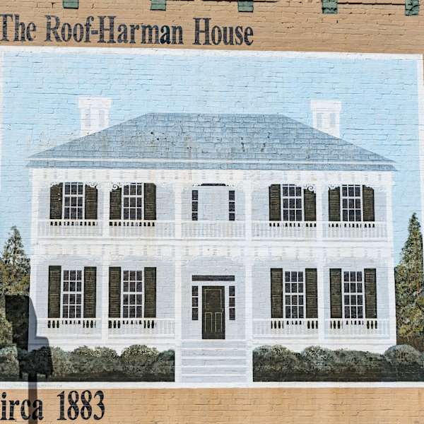 The Roof-Harman House by Ralph Waldrop Billy Love, Image 1.