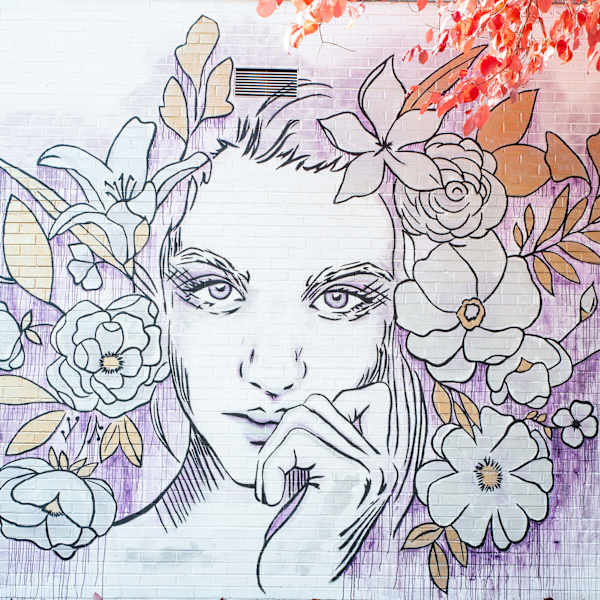 Lady of Devine by Shelby LeBlanc, Image 1.