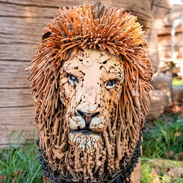 Recycled Life by Thomas Humphries, Image 1.