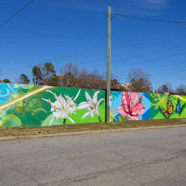 Saluda in Bloom by Austin "Slim" Reagan, Image 4.