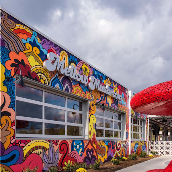 (Untitled) Mellow Mushroom Mural by Travis Czekalski, Jon Stommel, Image 1.