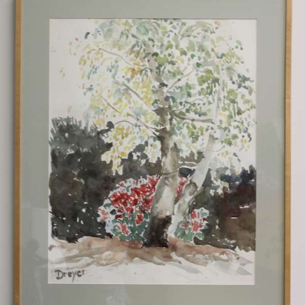 Birches by Diane Dreyer, Image 1.