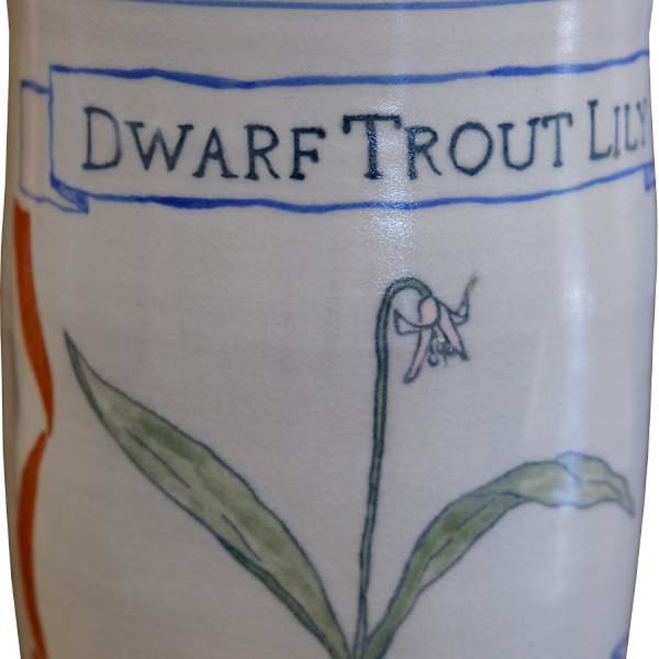 Dwarf Trout Lily by Juliane Shibata, Image 1.