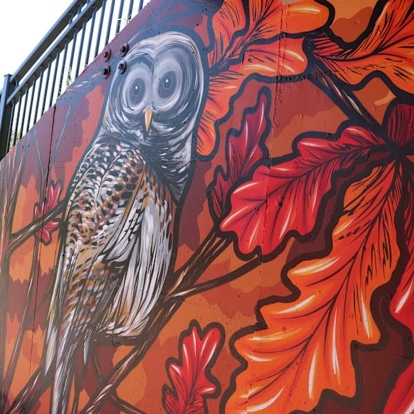 Roundabout Mural by Adam Turman, Image 7.