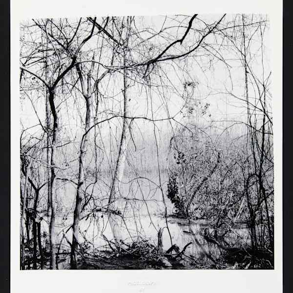 Camp Perkins Louisiana, from the Unsung Heroes Series by William Earle Williams, Image 1.