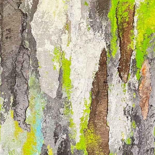 FOREST SEEN(s) by Keith Achepohl, Image 1.
