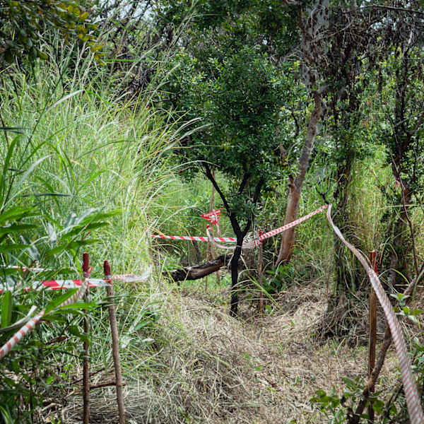 Campos Minados - In Depth (Landmines)/ Angolla Series by Alice Miceli, Image 2.