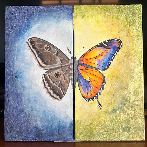 Night to Day by Christine Goodrich, Image 1.