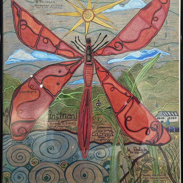 Dragonfly Splendas by Regina Kay, Image 1.