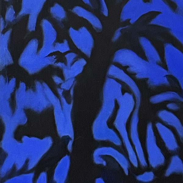 Birds at Night by Janet Cook-Rutnik, Image 1.